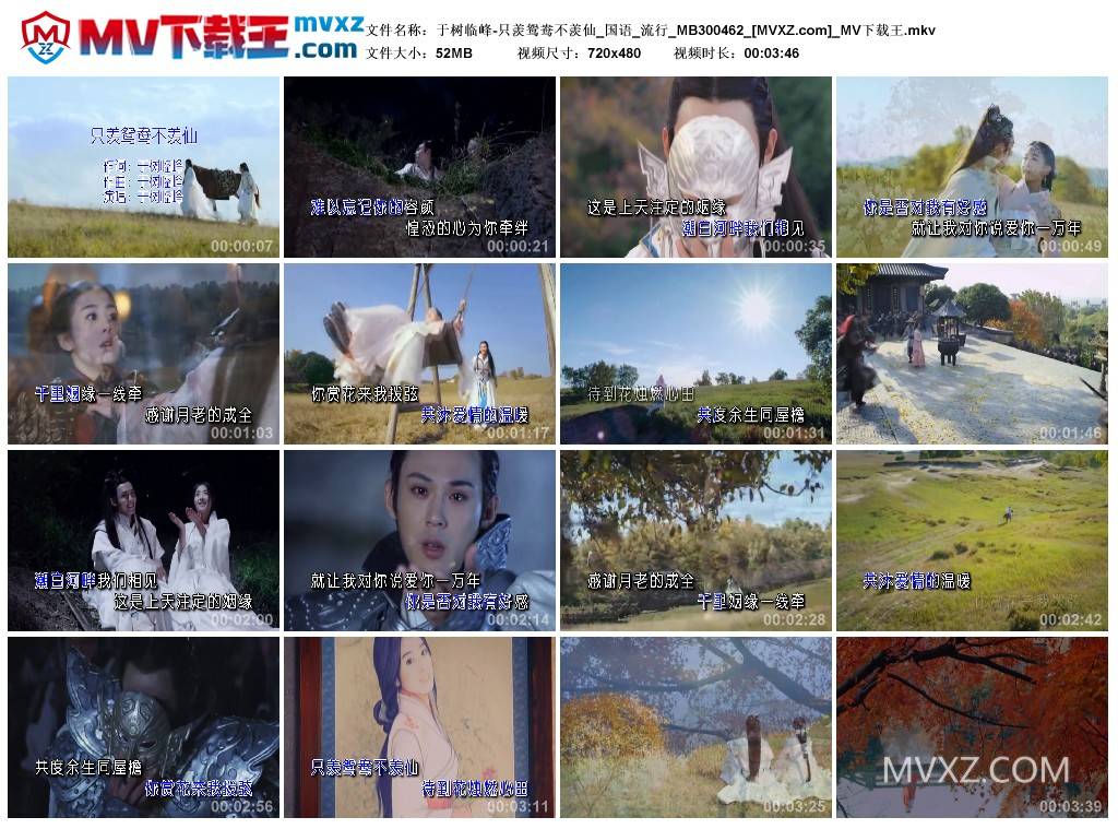 于树临峰-只羡鸳鸯不羡仙_国语_流行_MB300462